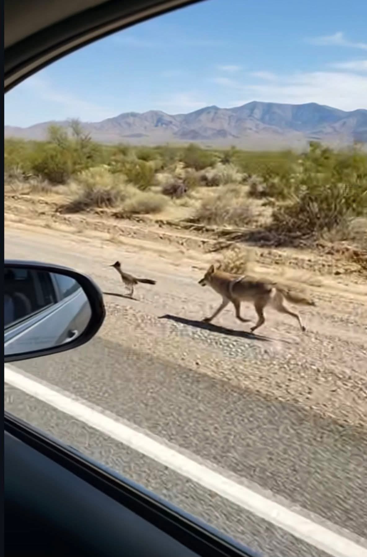 646399413_4212049309009601_6240196757219808812_n