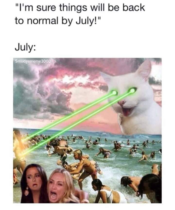 Here's a description of the meme for someone who can't see it: The meme is a humorous commentary on expectations versus reality, specifically in relation to the idea of things returning to "normal" after a disruptive...