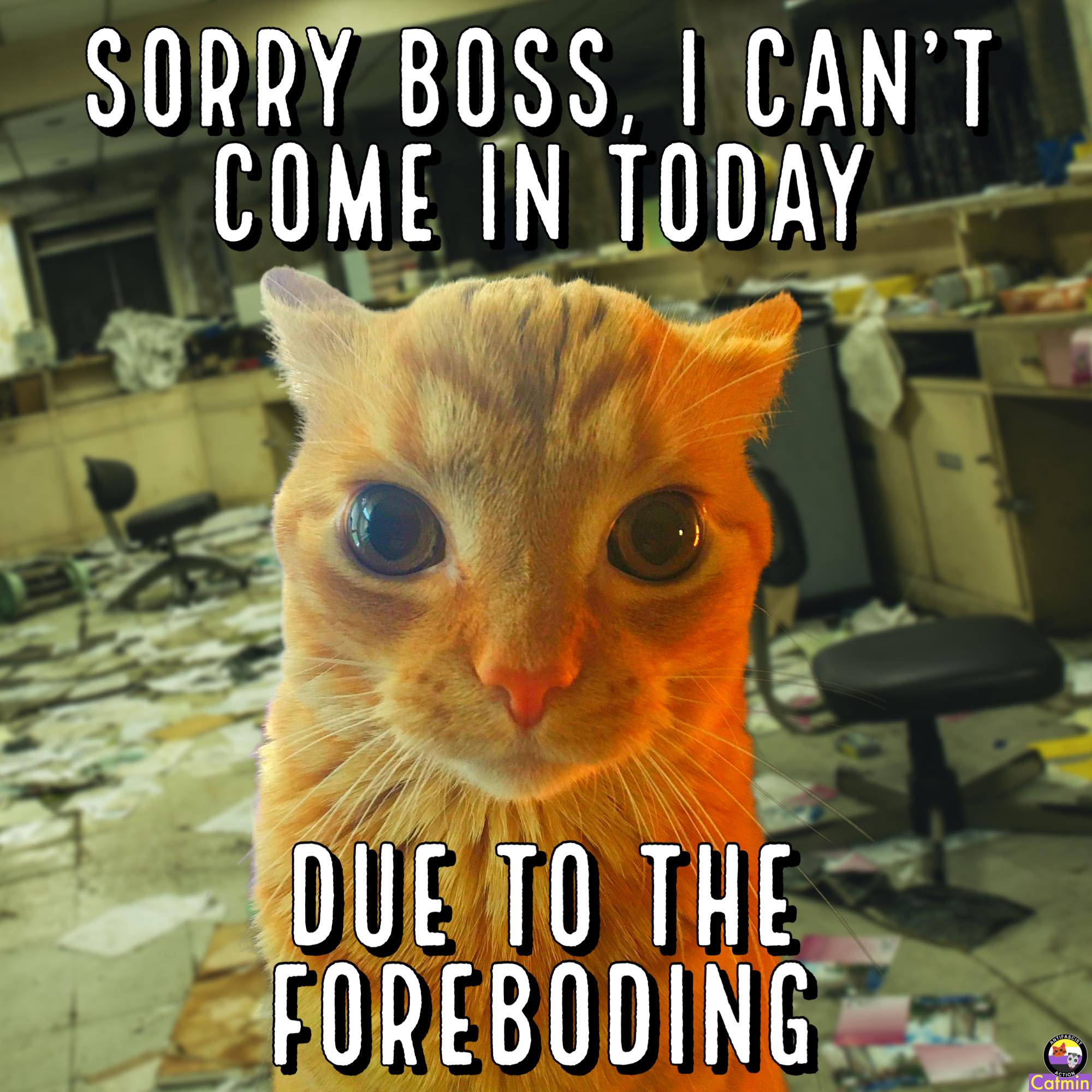 Okay, here's an analysis of the image, broken down into the requested sections. I'll indicate where a section doesn't really apply. ## Visual Description The image features a close-up shot of an orange tabby cat with...