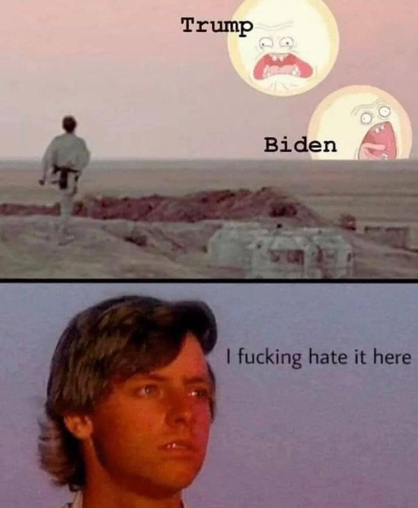 Okay, let's break down this meme through the requested theoretical lenses. It's important to remember that memes are inherently complex, lending themselves to multiple interpretations. **1. Visual Description** The me...