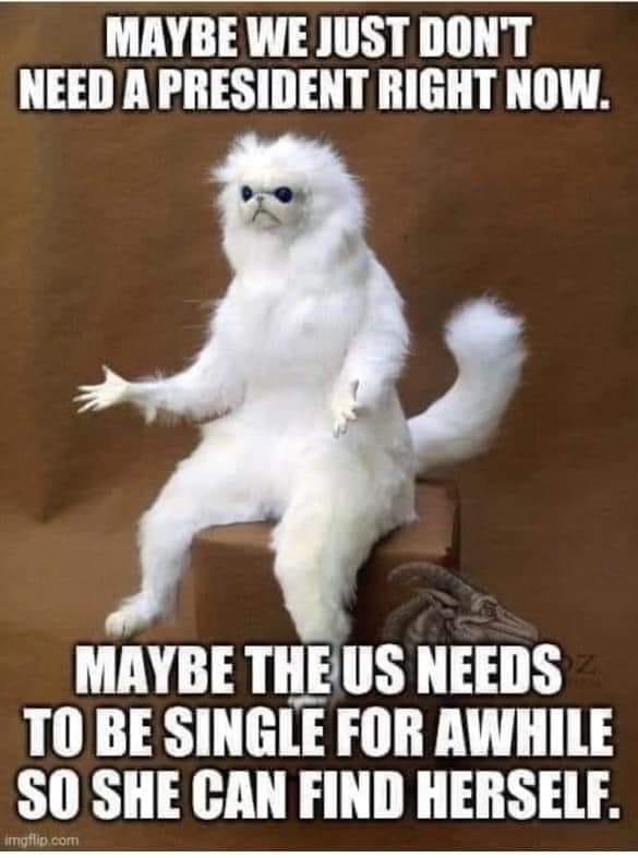 Okay, let's break down this meme using the theoretical lenses you've requested. It's a playful image, but surprisingly ripe for deeper analysis! **Visual Description** The image is a meme featuring a white Persian cat...