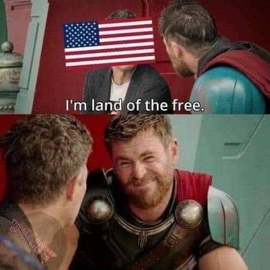 Okay, let's break down this meme through various critical lenses. **Visual Description** The meme is a two-panel image employing a popular "distracted boyfriend" format. * **Top Panel:** Shows a person (presumably rep...