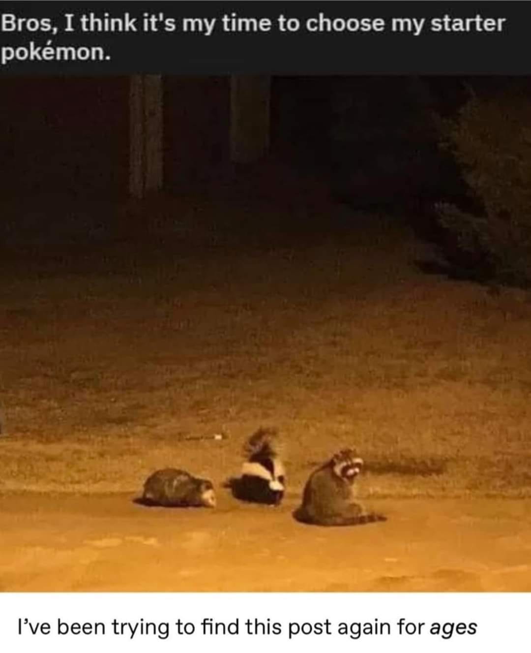 Okay, let's break down this meme through the lens of various theoretical frameworks. It's a deceptively simple image, which makes it interesting to explore. ## Visual Description The image depicts three small, fuzzy c...