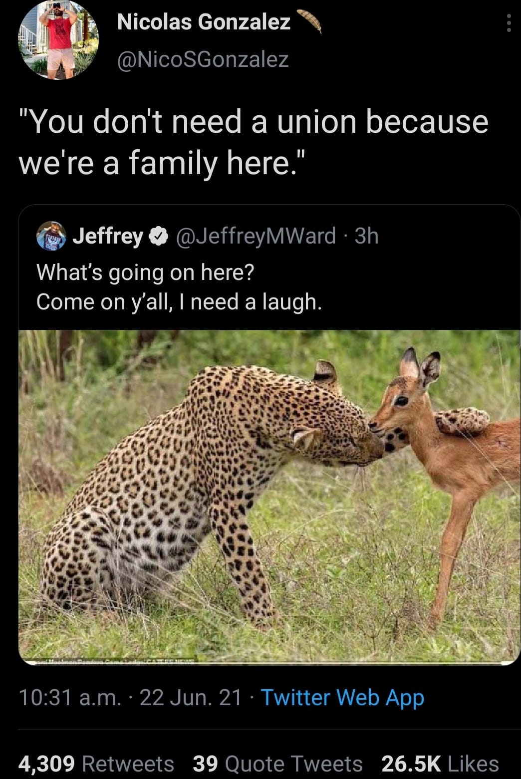 Okay, let's break down this Twitter post using the requested theoretical lenses. This is a rather complex meme, so the analysis will be detailed. ## Visual Description The image depicts a serval, a medium-sized Africa...