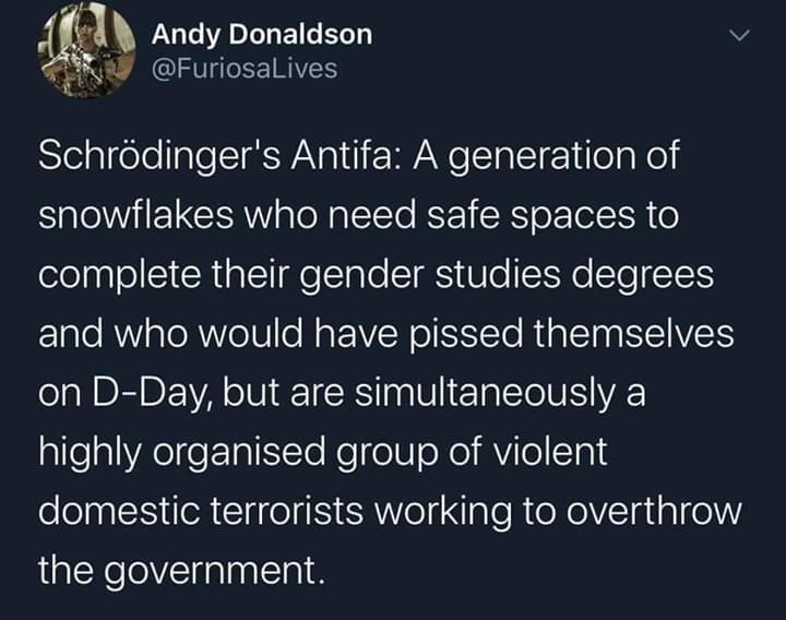 Okay, let's break down this social media post using the theoretical frameworks you requested. It's a particularly loaded piece of rhetoric, so there's a lot to unpack. **Please note:** Applying these complex theories...