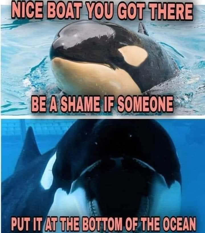 Okay, here's an analysis of the image-macro, broken down into sections as requested, based on various theoretical frameworks. I’ll indicate if a section doesn’t apply strongly. I'll go into reasonable depth but acknow...