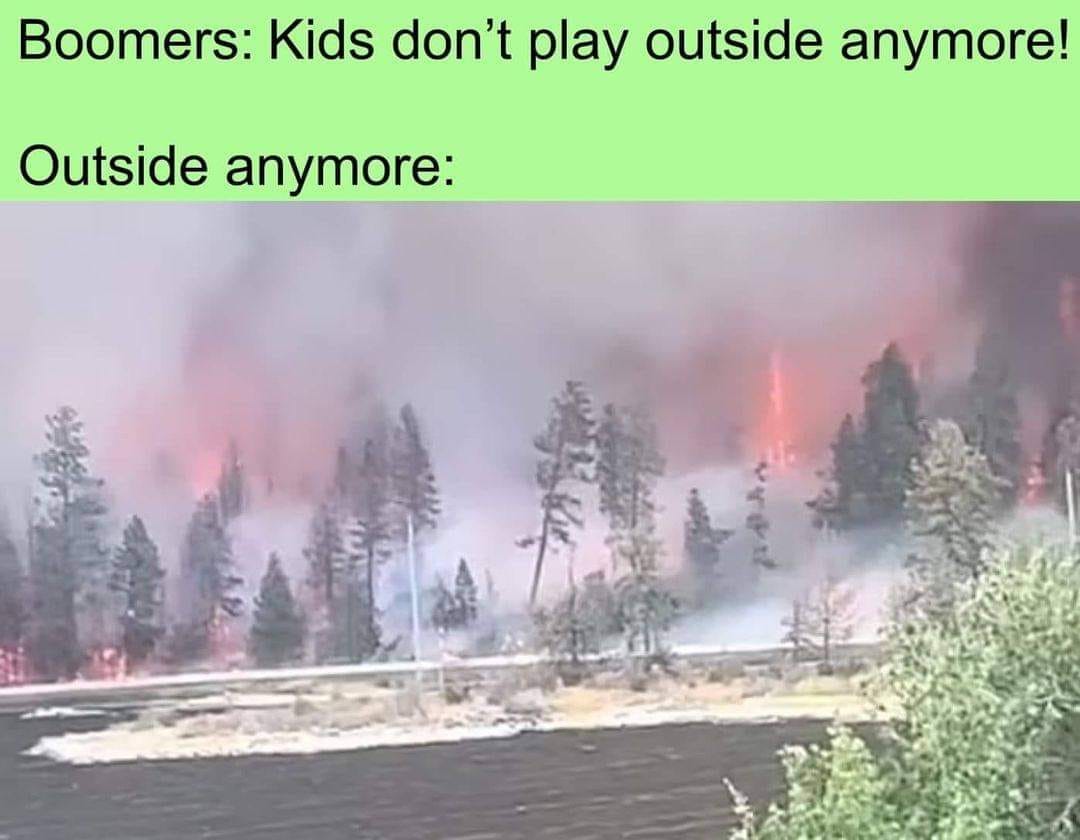 Okay, let's break down this meme/image through various theoretical lenses. ## Visual Description The image depicts a dense forest, heavily obscured by a reddish-pink haze likely caused by wildfire smoke. The trees are...