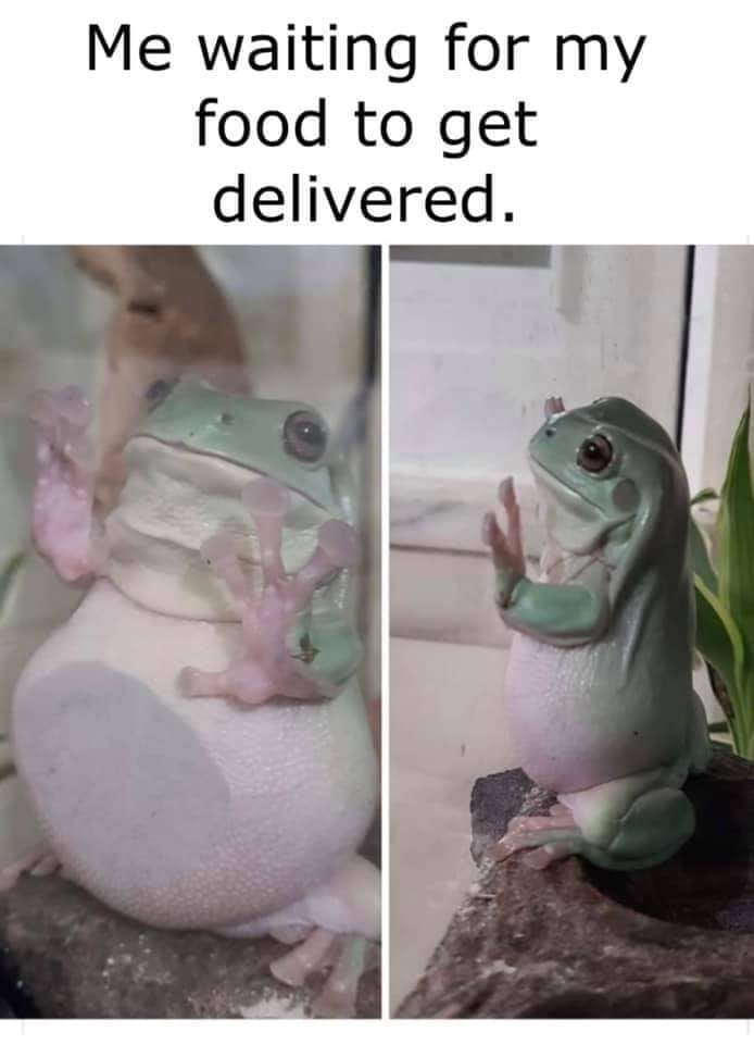 Okay, here's an analysis of the image, broken down into the requested theoretical frameworks, as applicable. I'll note where a section doesn't quite fit, or is a stretch. **Visual Description** The image is a two-pane...