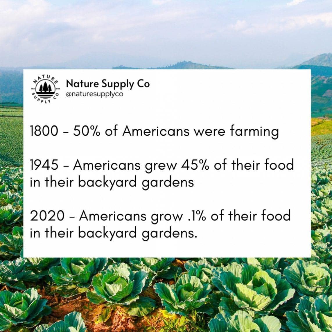 Okay, here's a breakdown of the image and the provided data, analyzed through the lenses you requested. I'll only include sections where the analysis is applicable/fruitful, and will explain why I omit others. **1. Vi...