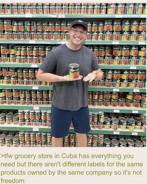 Okay, here's an analysis of the image and its accompanying text, broken down into the requested sections, with explanations of where these theoretical frameworks apply. Note that not *every* framework will be relevant...