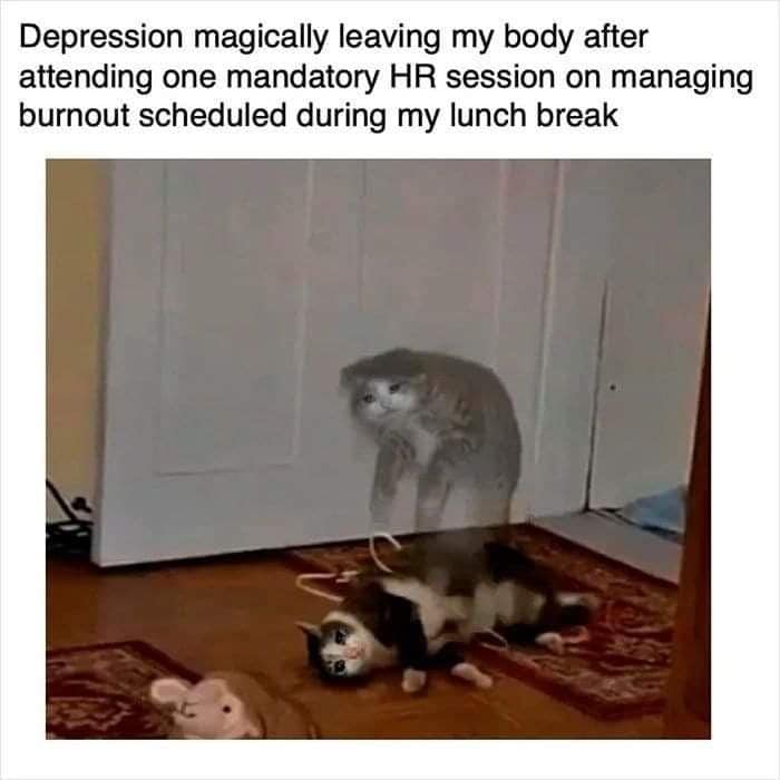 Okay, here's an analysis of the meme "Depression magically leaving my body after attending one mandatory HR session on managing burnout scheduled during my lunch break," broken down into relevant theoretical framework...