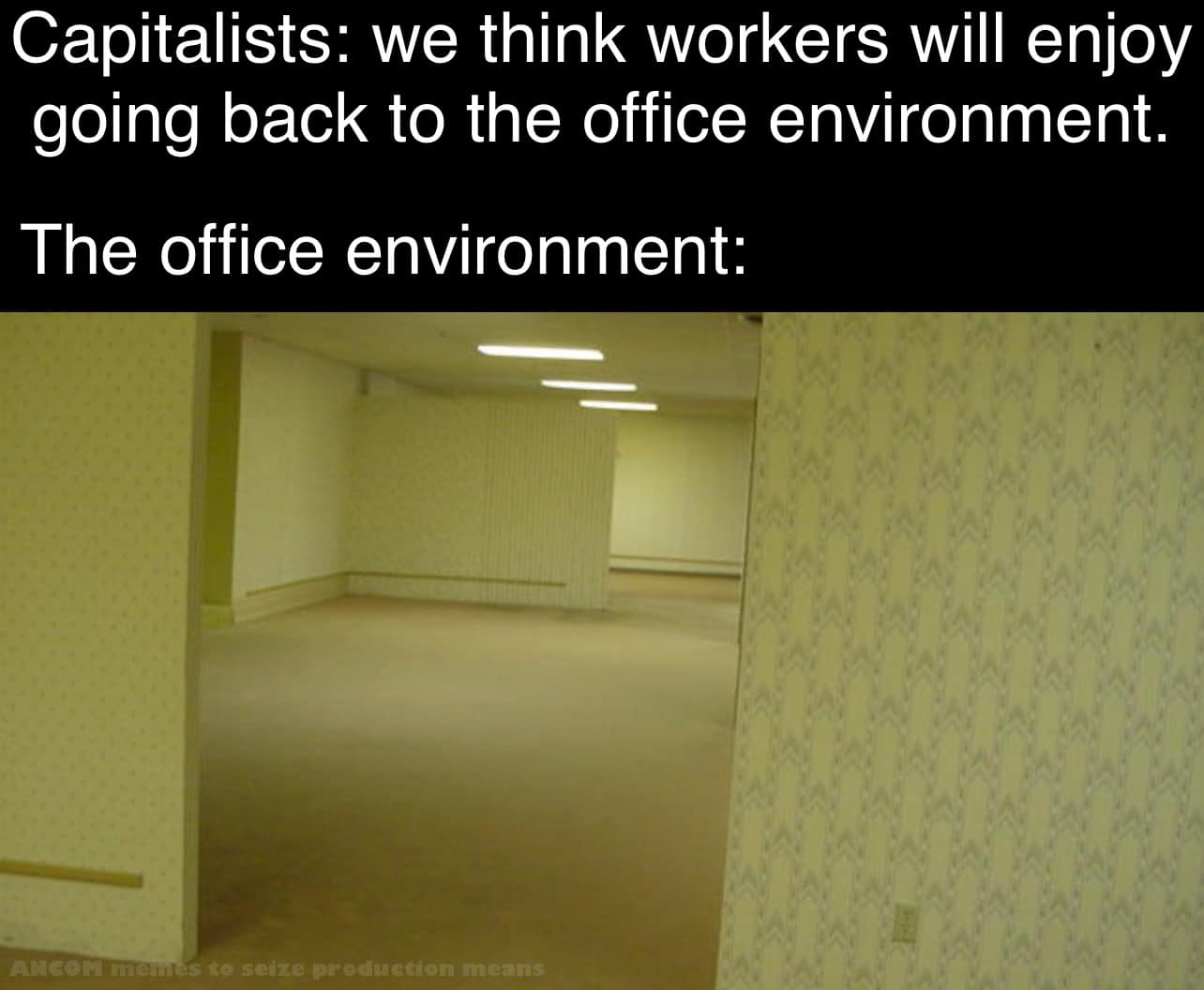 Okay, let's break down this image and its accompanying text through the lenses of several critical theories, where applicable. **Visual Description** The image depicts an unsettlingly sterile corridor. It’s a long, na...