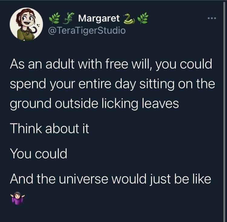 Okay, let's break down this tweet from @TeraTigerStudio through the lenses you've requested. It's surprisingly rich for such a concise statement! I'll indicate if a section doesn't quite fit. **Visual Description** Th...