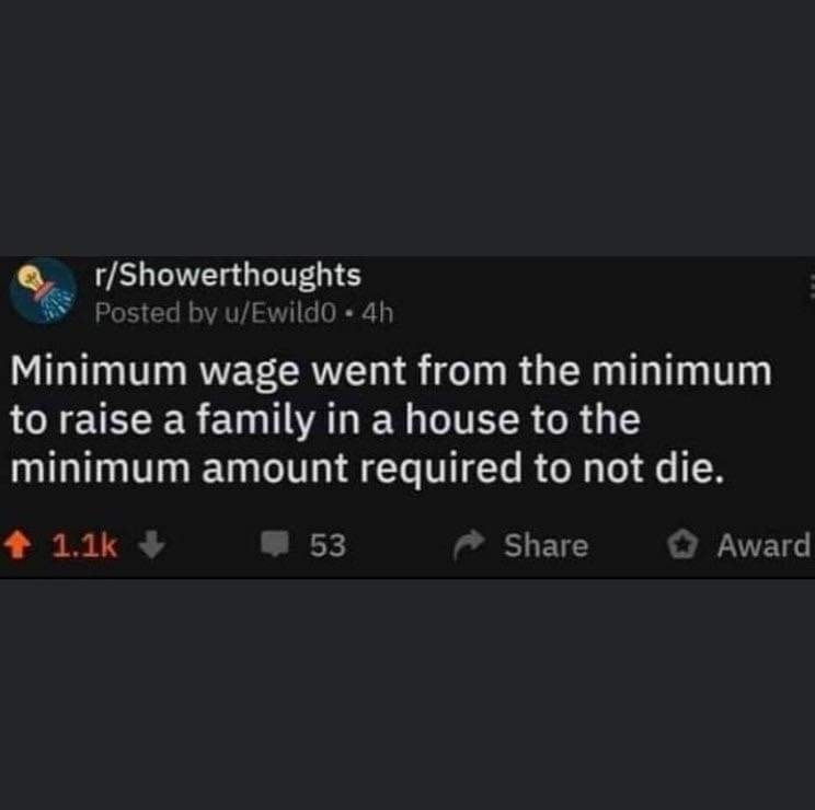 Okay, let's break down this Reddit post ("Minimum wage went from the minimum to raise a family in a house to the minimum amount required to not die.") through the lenses you’ve requested. **Visual Description** The im...