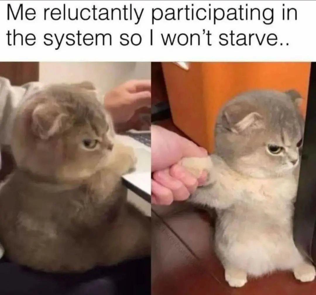 Okay, here's an analysis of the meme, broken down into sections as you requested. Note that not *all* theoretical frameworks will be a perfect fit, but I'll offer interpretations where applicable. ## Visual Descriptio...