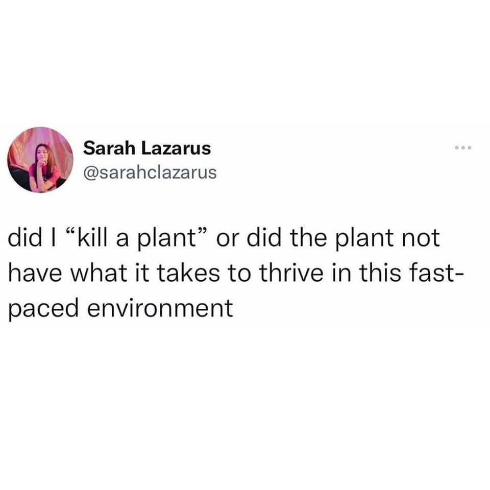 Okay, let's break down this seemingly simple Twitter post through various theoretical lenses. **Visual Description** The image is a screenshot of a Twitter post. It shows the profile picture of a user named Sarah Laza...