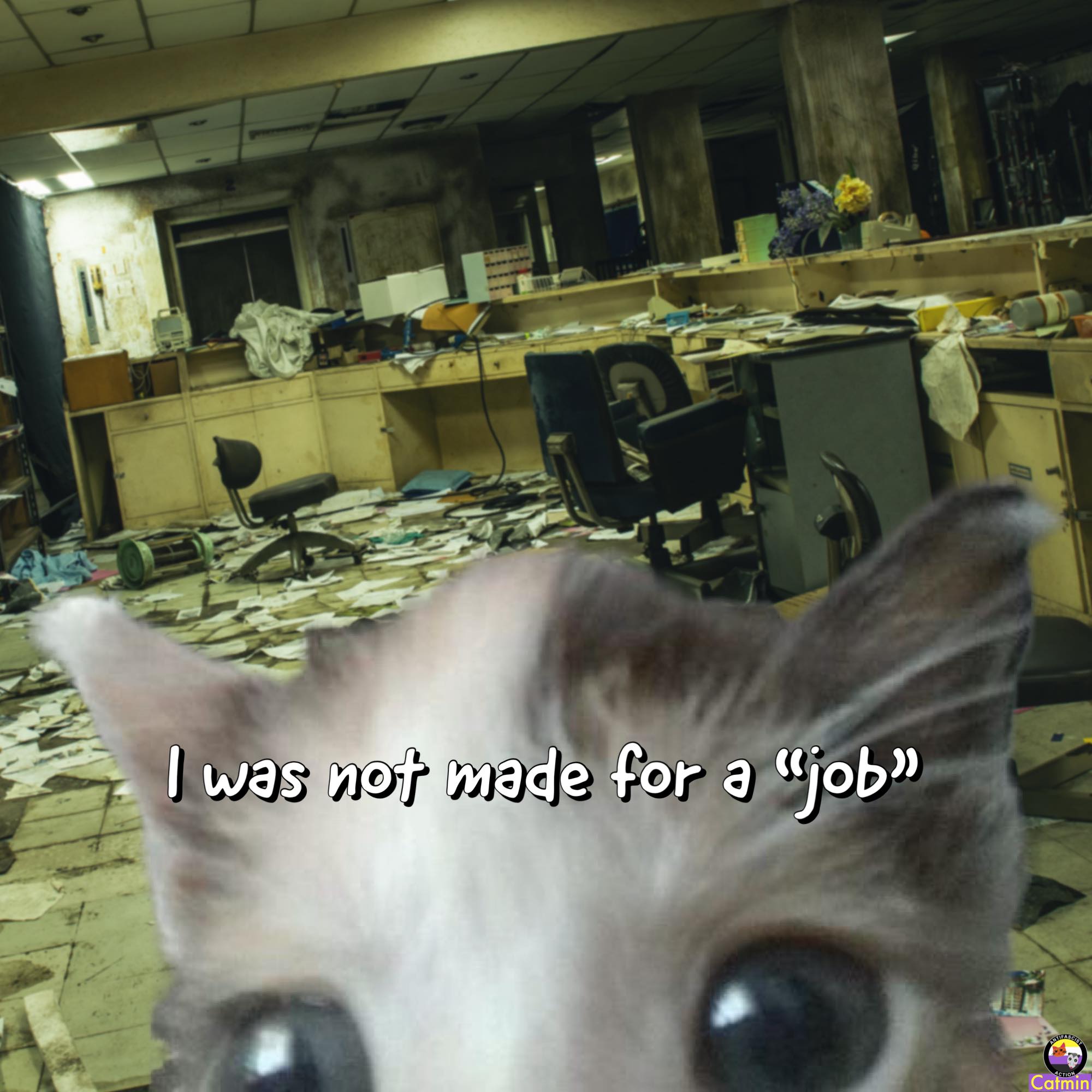 Okay, let's break down this image using the requested theoretical frameworks. It's...a lot, but here's an attempt to engage with it on different levels. **Visual Description** The image features a close-up of a fluffy...