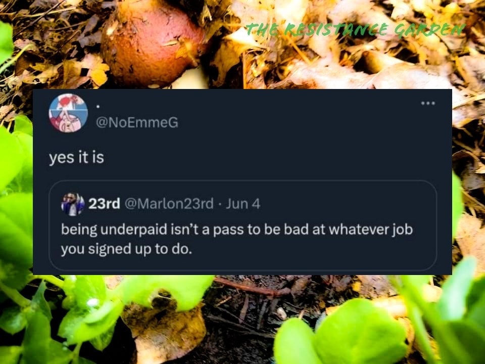 Okay, let's break down the image and its embedded tweet through a series of analytical lenses as requested. **Visual Description** The image is a screenshot of a Twitter conversation, overlaid with a background featur...