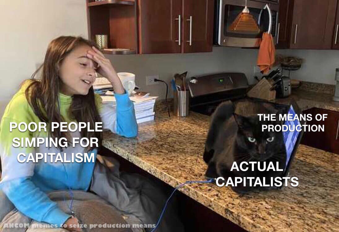 Okay, let's break down this meme through the requested theoretical lenses. Given the content and framing, some of these lenses will be more applicable and fruitful than others. **Visual Description** The image is a di...