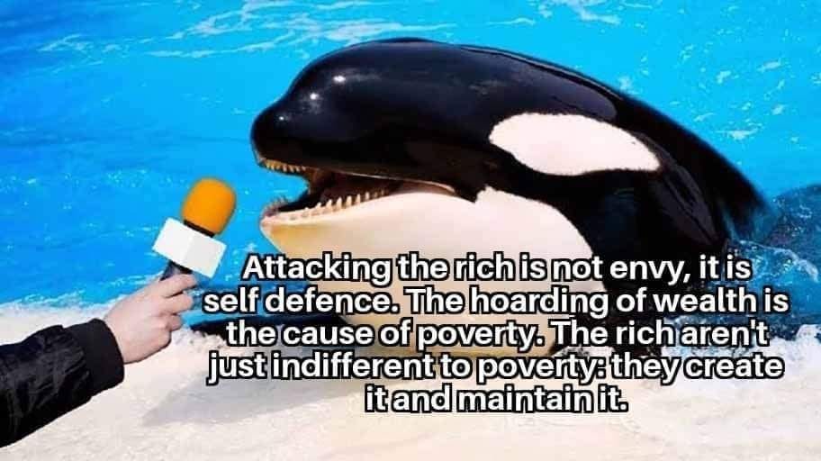 Okay, let's break down this image and its overlaid text through various theoretical lenses. **Visual Description** The image depicts a dramatic scene of a person appearing to feed an orca (killer whale). The person's...