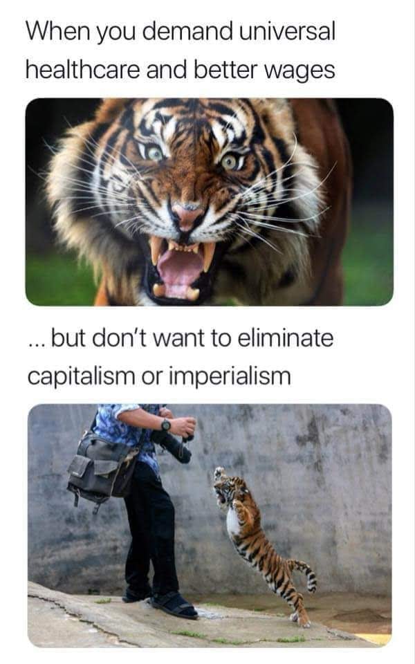 Okay, let's break down this meme using the requested theoretical frameworks. **Visual Description** The meme utilizes a two-panel format with contrasting imagery. * **Top Panel:** A close-up image of a tiger roaring a...