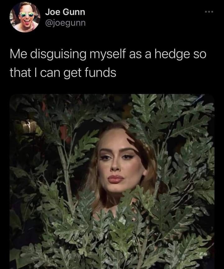 Here's an analysis of the image and caption, broken down into sections as requested, only including those sections where the topics meaningfully apply. ## Visual Description The image depicts Adele, a famous singer, p...