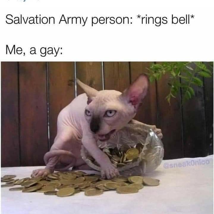 Okay, let's break down this meme through the requested theoretical lenses. It’s important to note that a meme like this, while seemingly simple, can be surprisingly rich with potential interpretations when viewed thro...