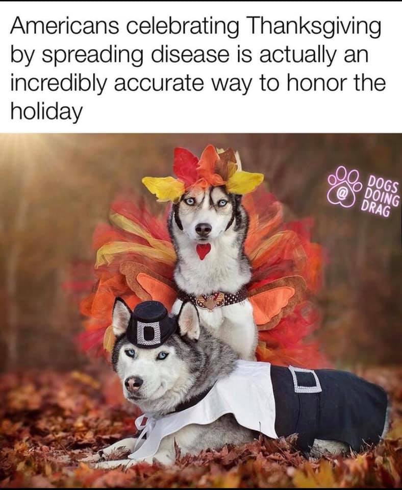 Okay, let's break down this image and its accompanying text through various critical lenses, as requested. **Visual Description** The image features two Siberian Huskies posing in elaborate, humorous costumes evoking...