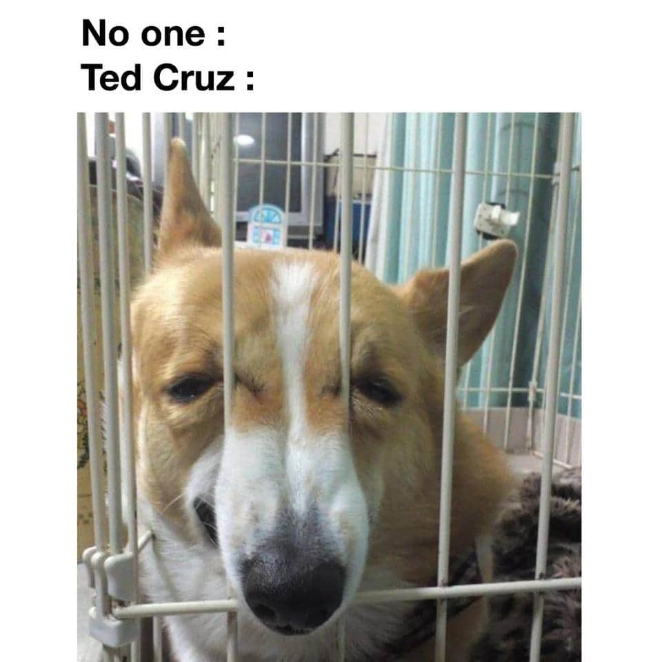 Okay, let's break down this image/meme with the requested theoretical frameworks. It's important to acknowledge that applying these theories can sometimes feel like "forcing" them onto an image, but it's a useful exer...