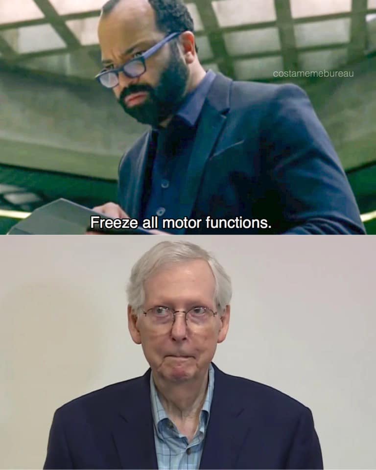 Okay, let's break down this image/meme with the requested analytical approaches. Given the source material (Westworld) and the phrase "Freeze all motor functions," there's rich ground for several of these theories. **...