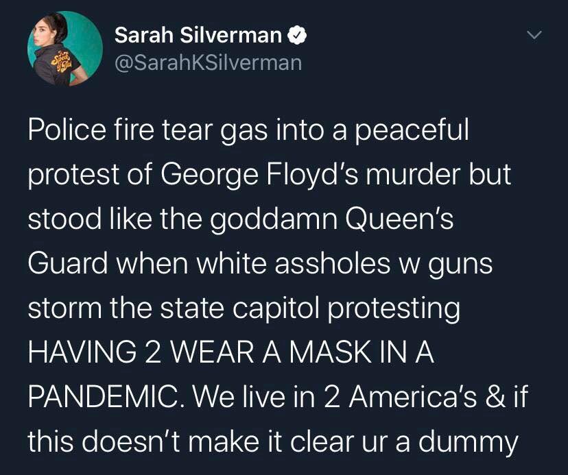 Okay, let's break down this tweet by Sarah Silverman through the lenses you've provided. I'll organize it by the headings, only including sections where the framework genuinely applies, and noting when a connection is...