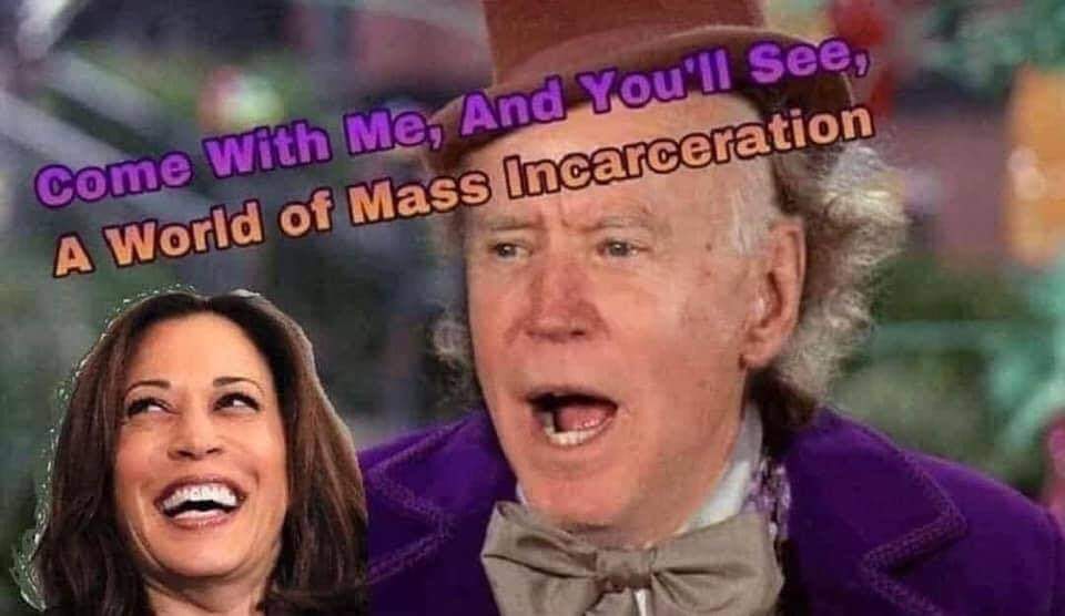 Okay, let's break down this image and apply some theoretical lenses. It's a potentially loaded meme, so the analysis will be nuanced. **Please note**: The interpretations below are *possible* readings, and the meme's...