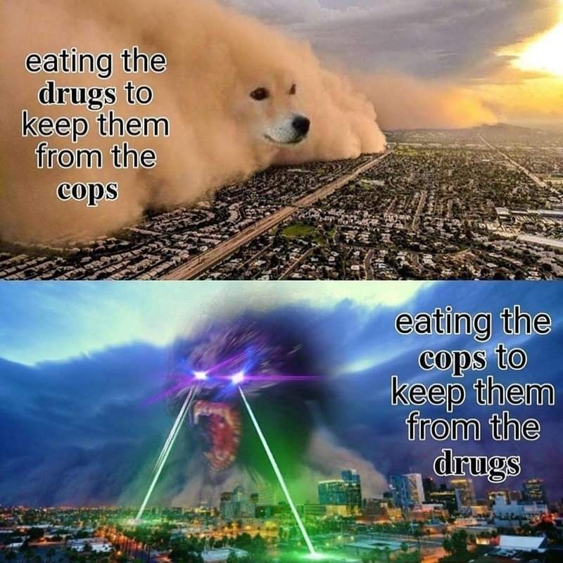 Okay, let's break down this meme through various theoretical lenses. It's a wonderfully absurd image, offering rich potential for analysis. **Visual Description** The meme is a two-panel image employing the "doge" mem...