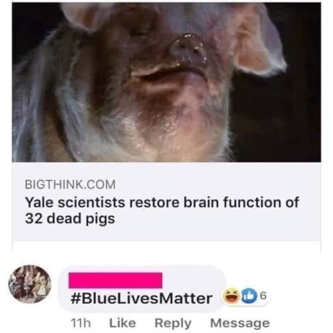 Okay, here's an analysis of the image and its accompanying text, broken down into sections as requested. Given the specific content, some sections will be more relevant and developed than others. I'll also indicate wh...