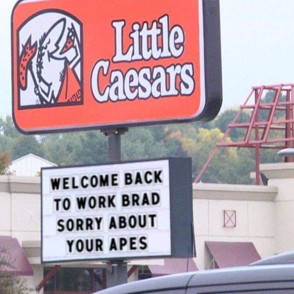 Okay, here's an analysis of the image, broken down into the requested sections, including notes on applicability (some sections will be brief or noted as not applicable). ## **Visual Description** The image depicts a...