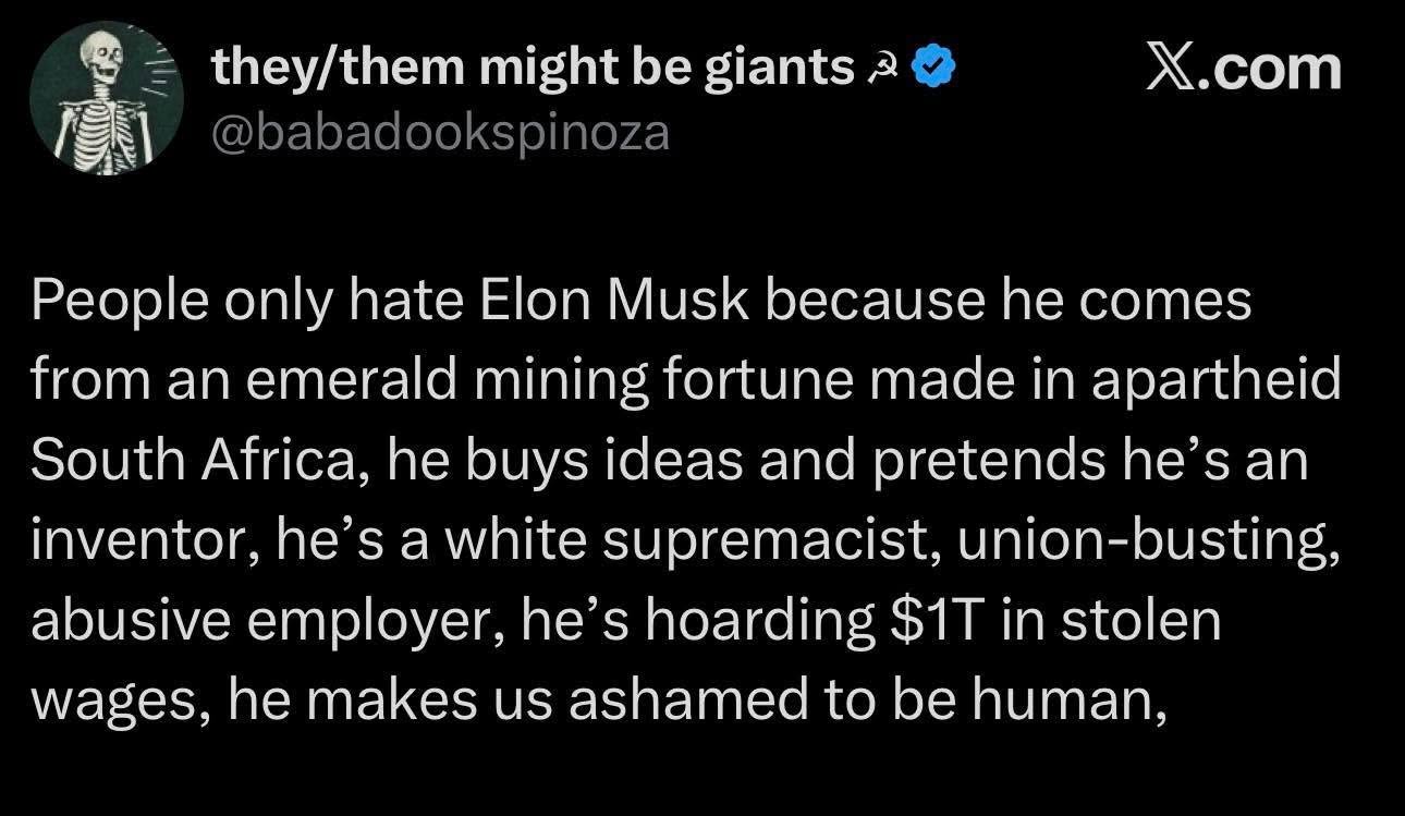 The text in the image argues that people only hate Elon Musk because he came from an emerald mining fortune made in Apartheid South Africa. It further describes him as a white supremacist, union-busting, and abusive e...