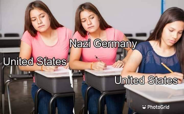 Okay, let's break down this image with analyses as requested. It's important to note that this image is inherently provocative due to its attempted comparison of the United States with Nazi Germany. A nuanced analysis...