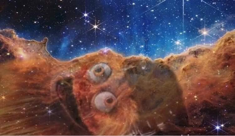 Okay, here's an analysis of the image, broken down into sections as requested. This is a somewhat surreal and unusual image, so the deeper theoretical lenses can be applied to explore the unsettling and thought-provok...