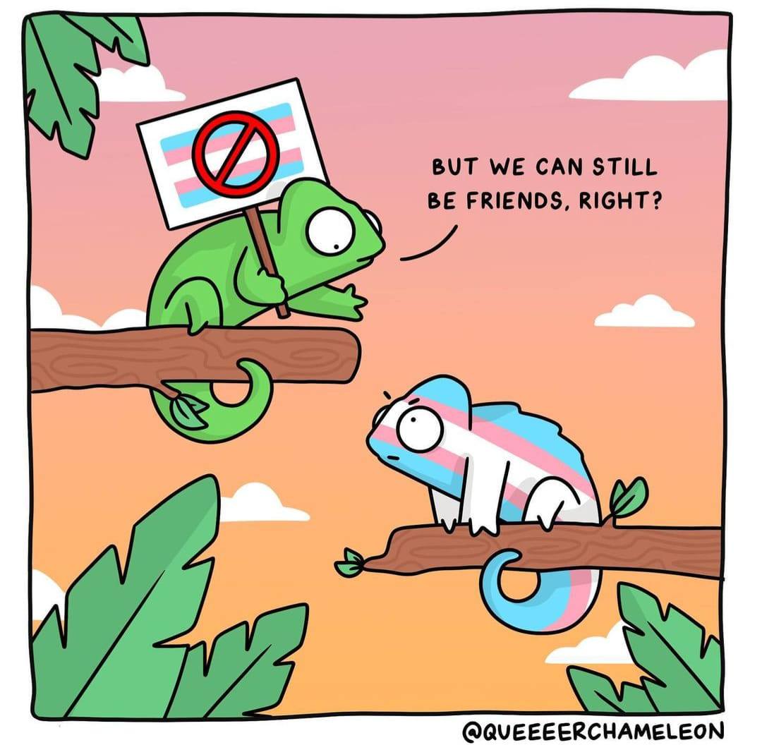 Okay, let's break down this image with the requested theoretical lenses. **Visual Description** The image is a colorful cartoon depicting two chameleons on a brown branch against a warm, sunset-toned background. One c...