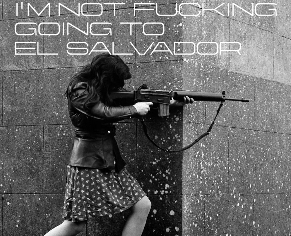 Okay, let's break down this image, approaching it from the perspectives you've requested. It's a complex image laden with socio-political implications, so each analysis will be relatively extensive. **Please note:** A...