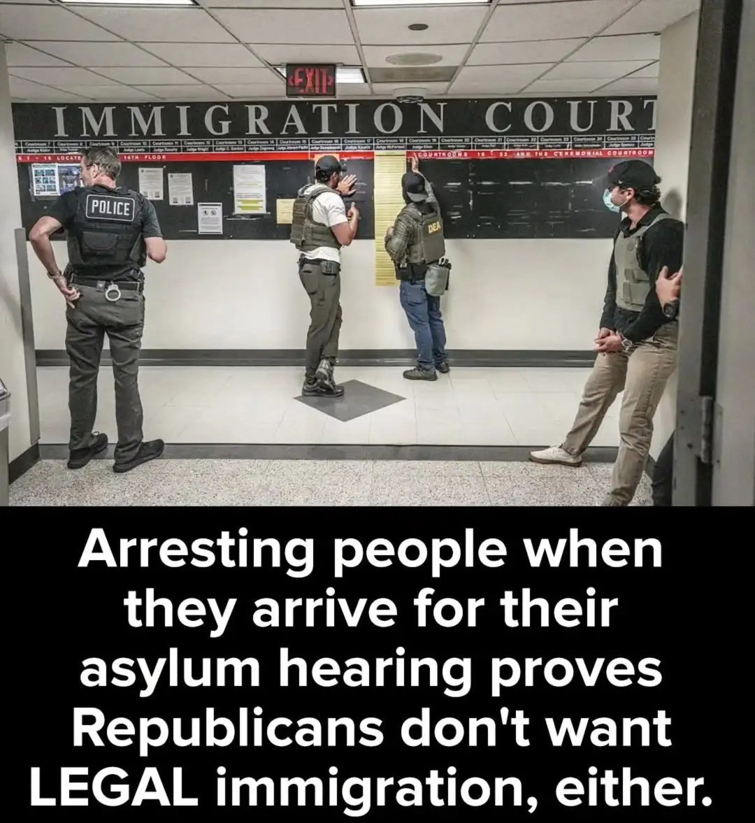 Okay, here's a breakdown of the image and accompanying text, analyzed through the lenses you requested. I'll include sections only where those lenses are applicable. Please note that these are complex theories, and ap...