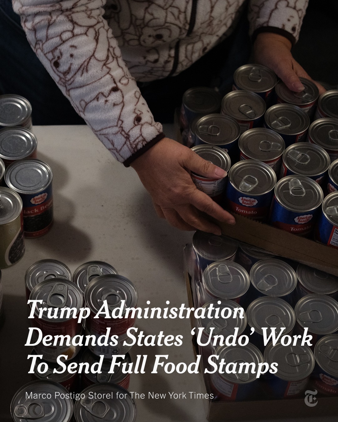 579089681_1223451046304023_7231034077634160552_n