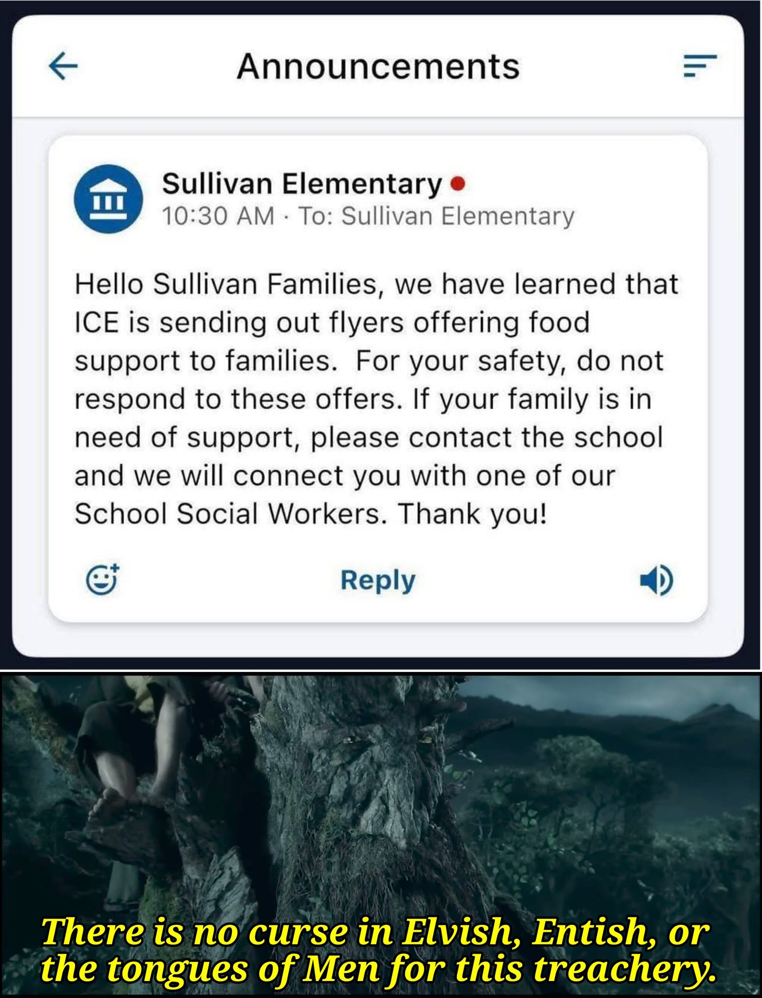 621808733_122173155572792407_3043395666277089276_n