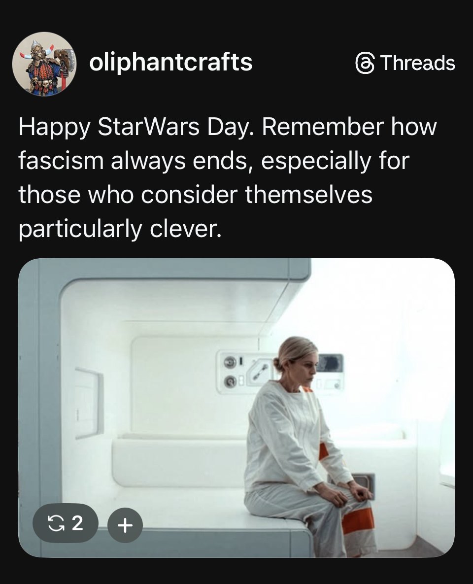 This meme uses Princess Leia—a beloved symbol of American strength and freedom from *Star Wars* Day—satirize how fascism is often directed specifically against non-white people while ignoring white heroes. It suggests...