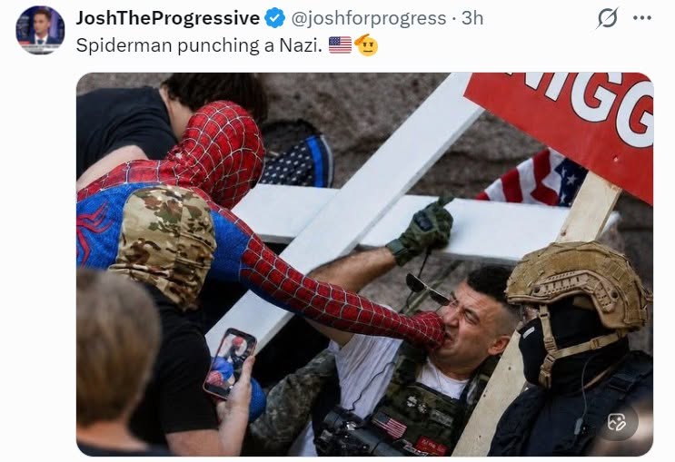 The meme, captioned **"SPIDERMAN PUNCHING A NAZI,"** satirically depicts a scene where the comic hero Spider-Man is attacking a man dressed in military gear with a Nazi flag visible in the background. From a perspecti...