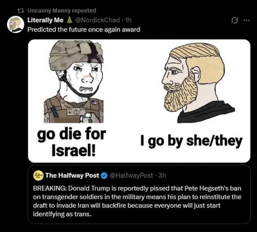 This meme subverts a classic anti-fascist visual trope often depicting Jewish soldiers as angry and hostile toward Israel, which is only to turn around and avoid conflict with a civilian figure (often stereotyped as J...