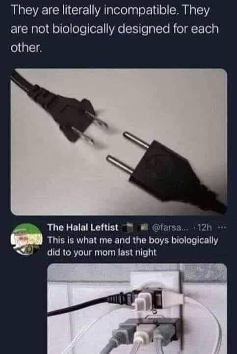 This meme uses a picture of a plug and a socket, both of which are designed to be compatible and work together, to make a humorous comparison between the compatibility of gay men and the incompatibility of a plug and...