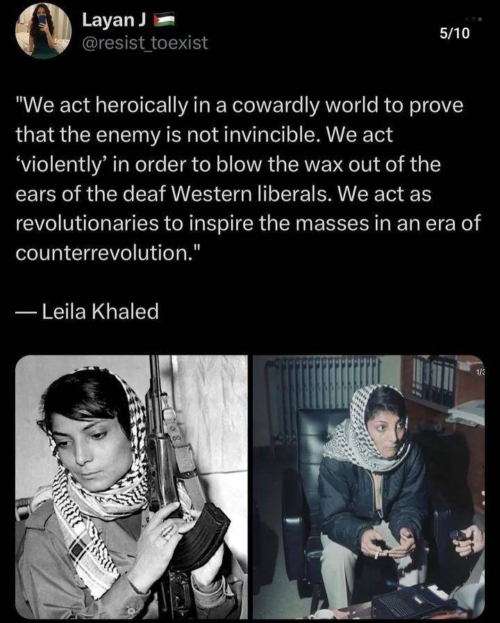 Okay, here's an analysis of the image and quote, broken down into the requested theoretical sections. Note that some sections will be more substantial than others, as the content lends itself better to some frameworks...