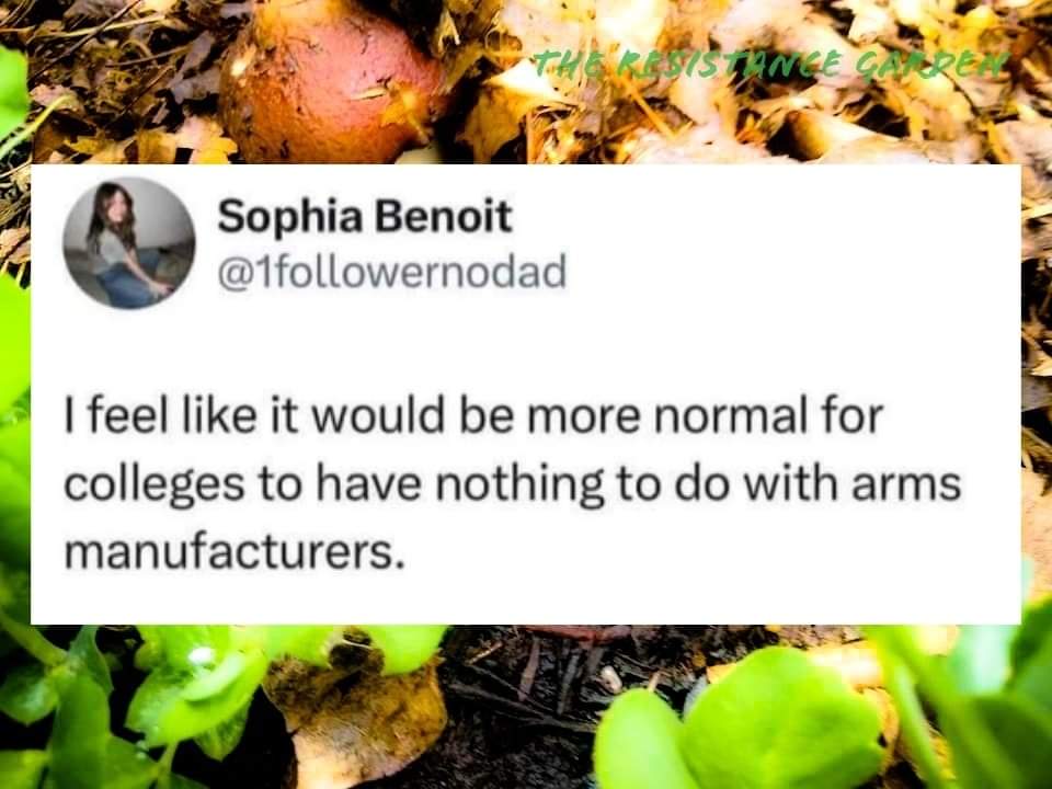 This meme is a satirical commentary on the idealized notion of "normal" college life. The image features a tweet by Sophia Benoit, stating, "I feel like it would be more normal for colleges to have nothing to do with...