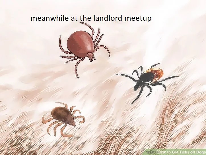 Okay, let's break down this image ("Meanwhile at the landlord meetup" – a rather pointed caption paired with a depiction of ticks on fur) through various theoretical lenses. It's important to note that applying these...